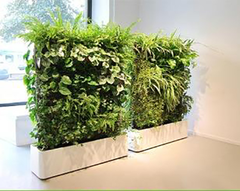 室內(nèi)花箱 室內(nèi)花箱