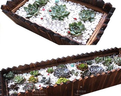 1594956899868810.jpg 花箱