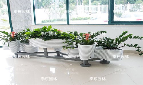 1610678246438515.jpg 圖片134.jpg