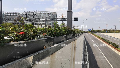 景觀花箱 景觀花箱