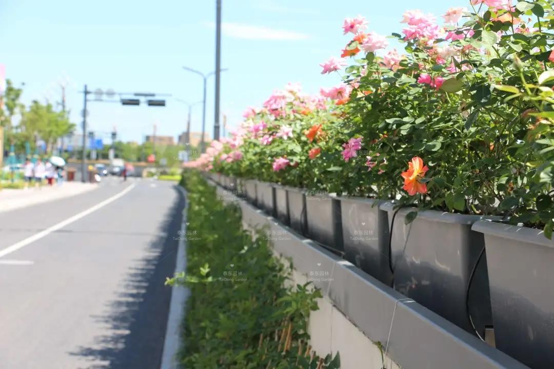 1616206782624145.jpg 微信圖片_20210320101013.jpg