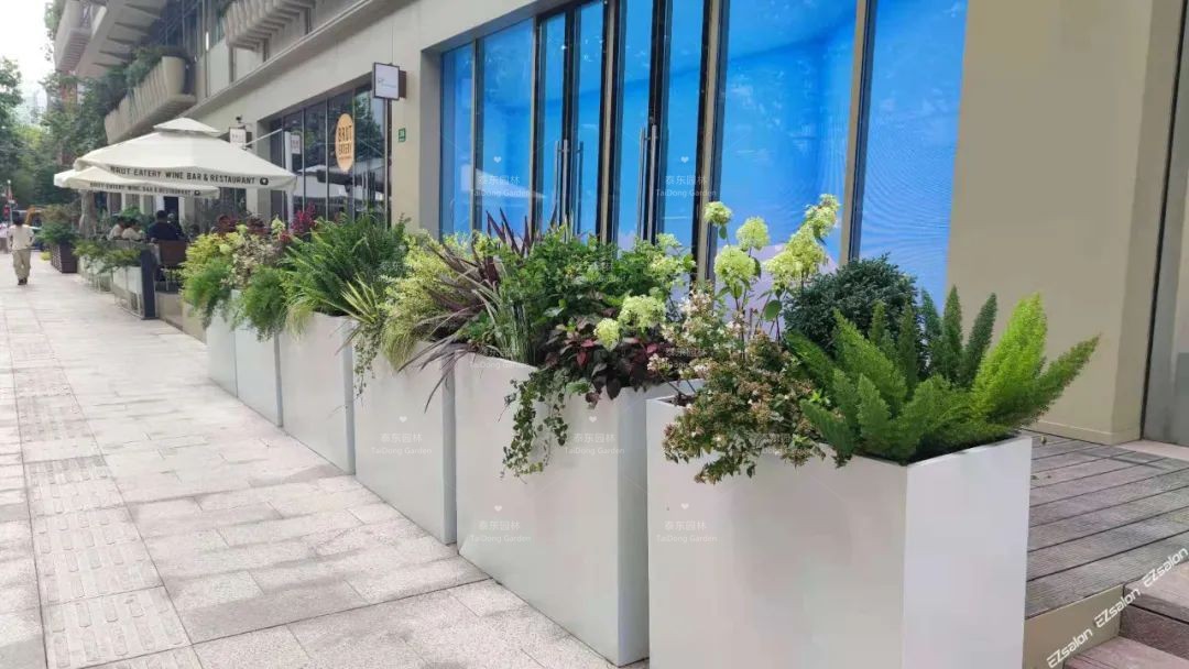 1675043765730017.jpg 花箱