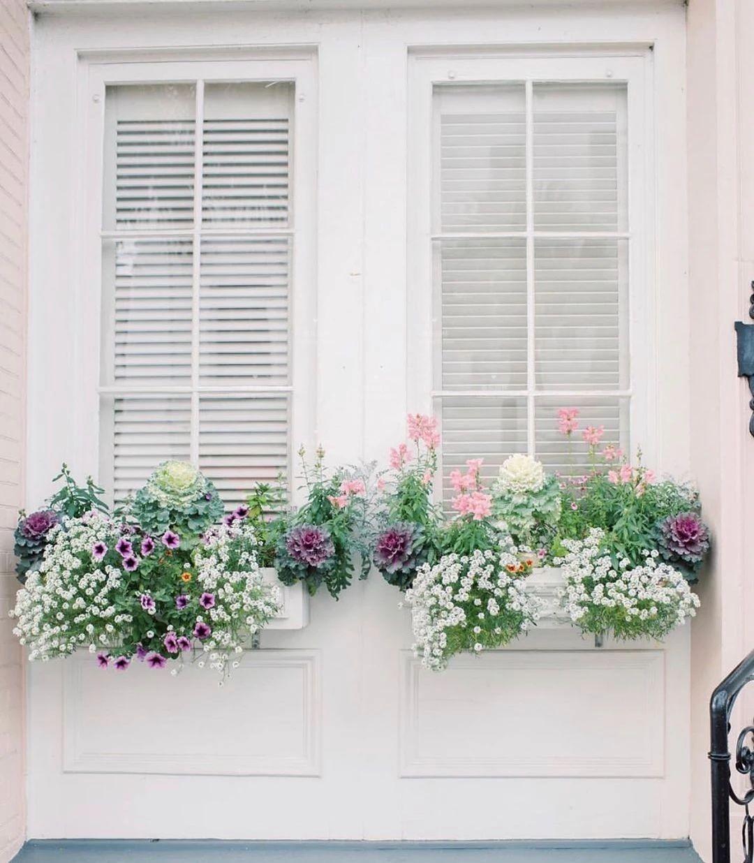 1675134421264589.jpg 窗臺花箱2.jpg