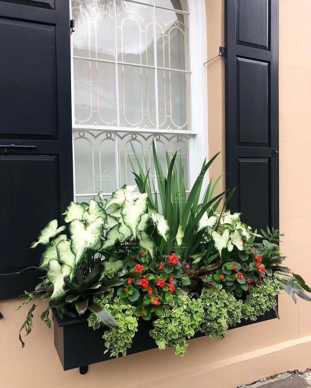 1675134517818837.jpg 花箱