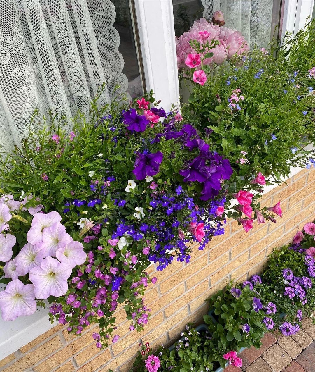 1675134518536961.jpg 花箱