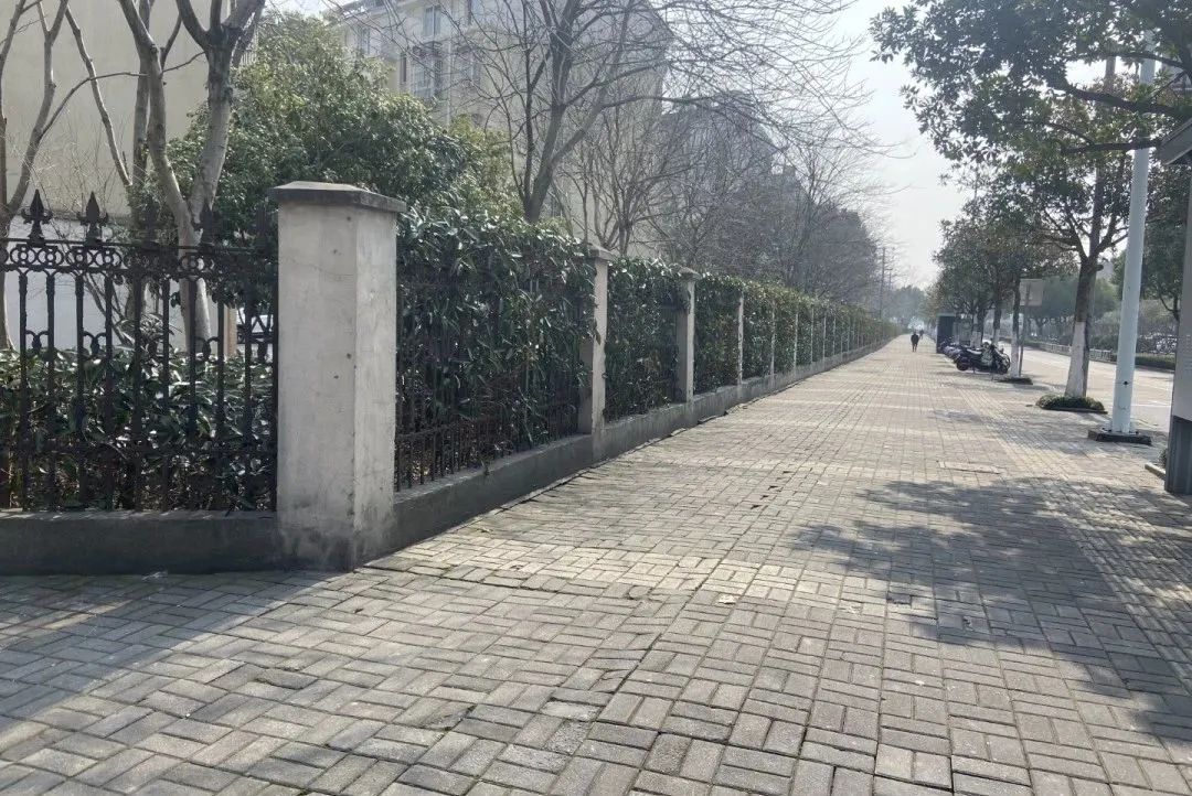 1676093634241833.jpg 10.jpg