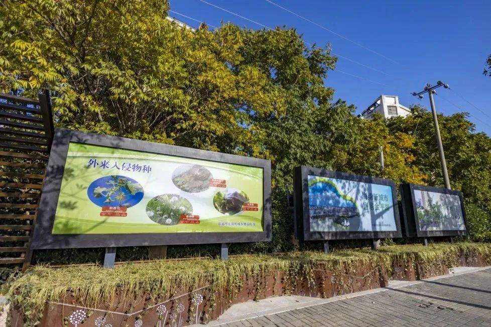 1676093665243260.jpg 12.jpg