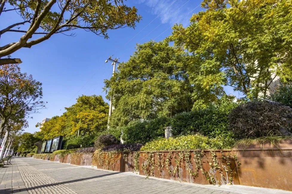 1676093677744729.jpg 13.jpg