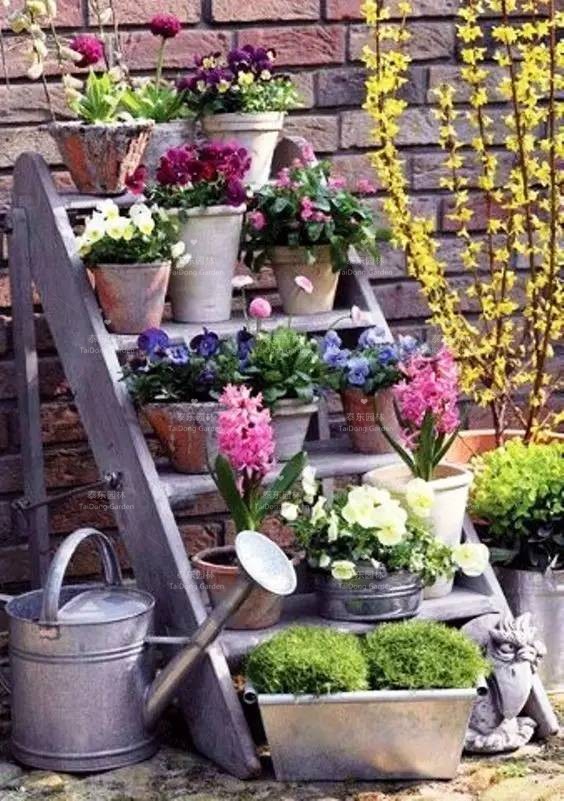 1675758776474896.jpg 花箱