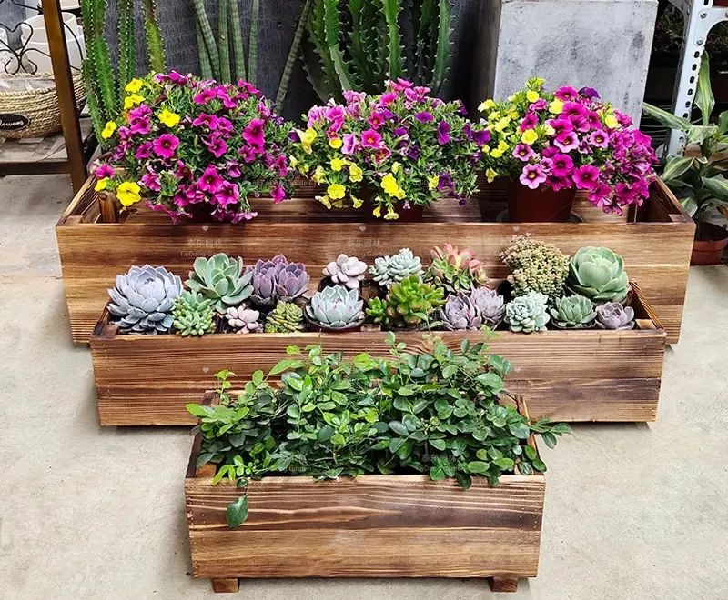 1675911272430200.jpg 9.jpg