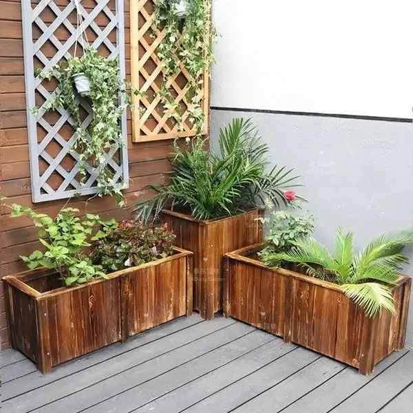 1675911367650298.jpg 13.jpg