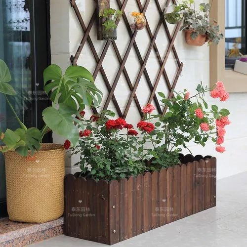 1675911613184826.jpg 15.jpg