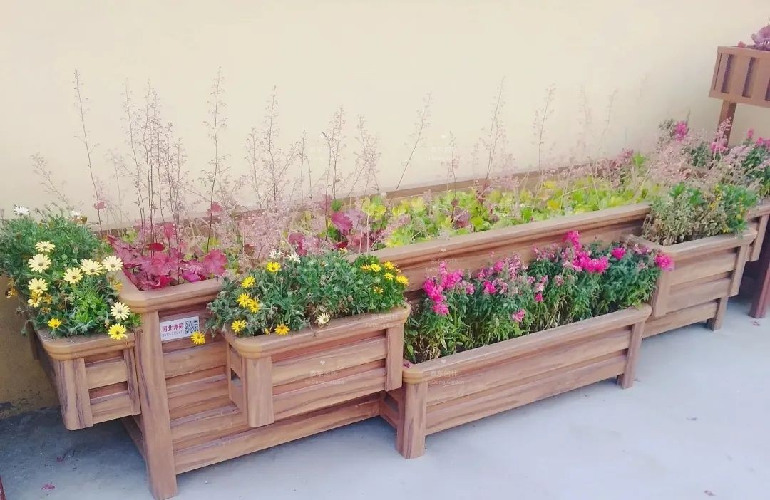 1675911785126701.jpg 23.jpg