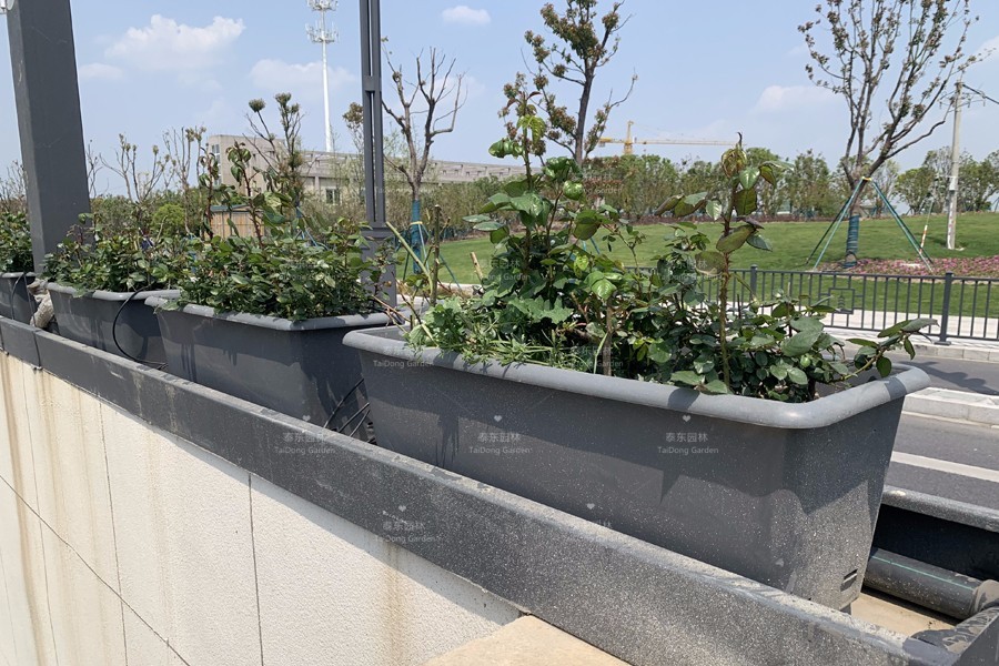 1676681356513078.jpg 3.jpg