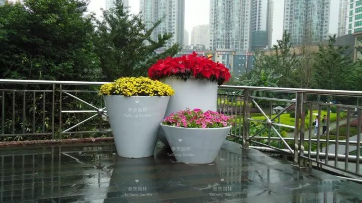 1677044551267544.jpg 花箱