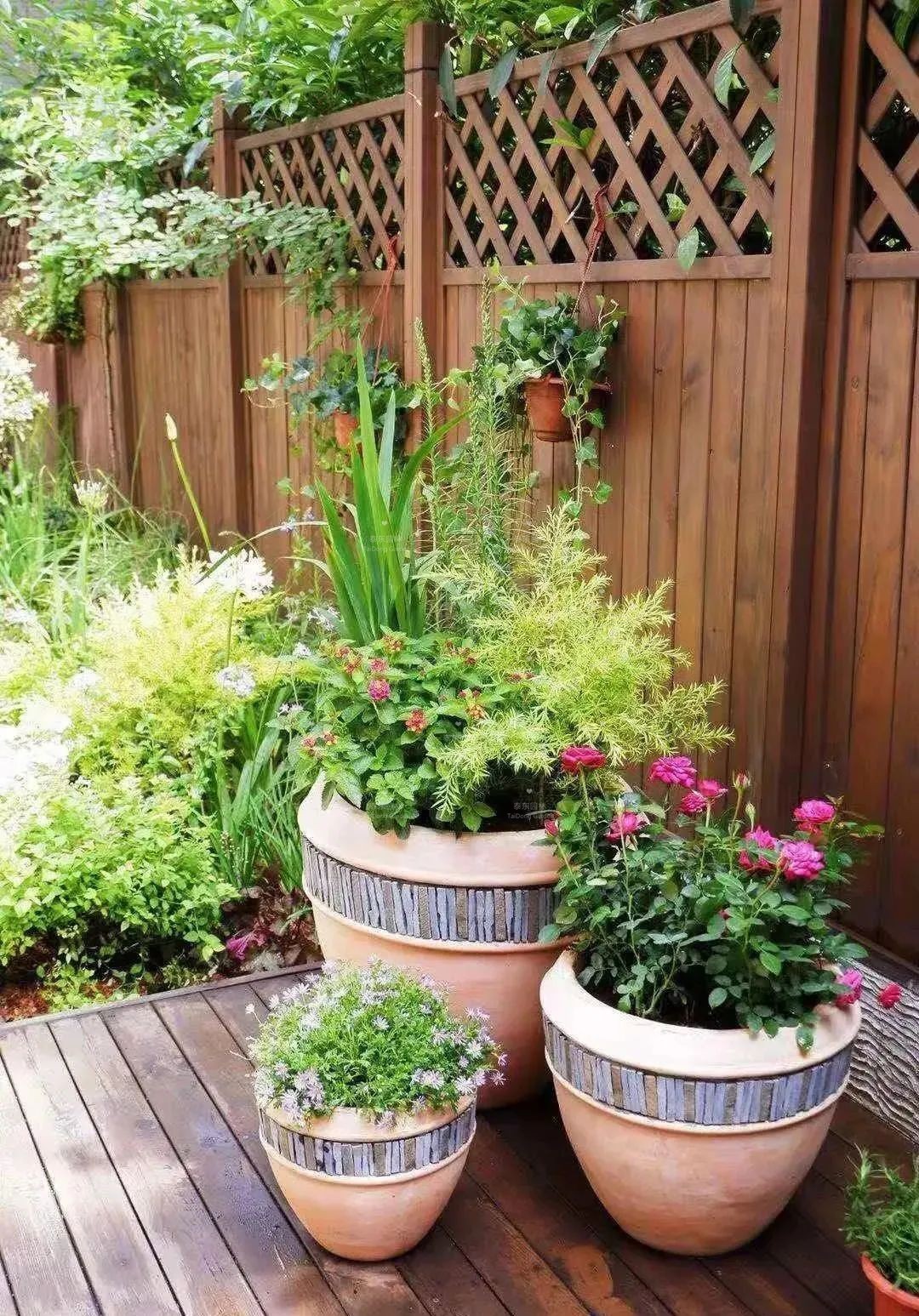 1677129455577154.jpg 花箱