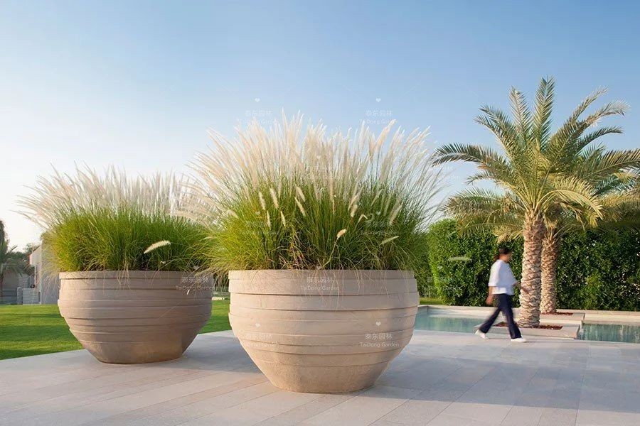 1677129455742971.jpg 花箱