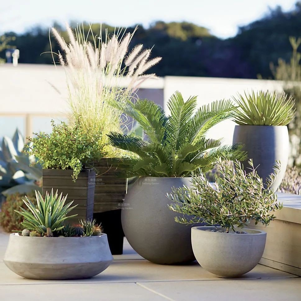 1677129545293625.jpg 花箱