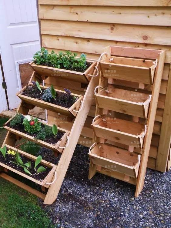 1678867297469906.jpg 花箱