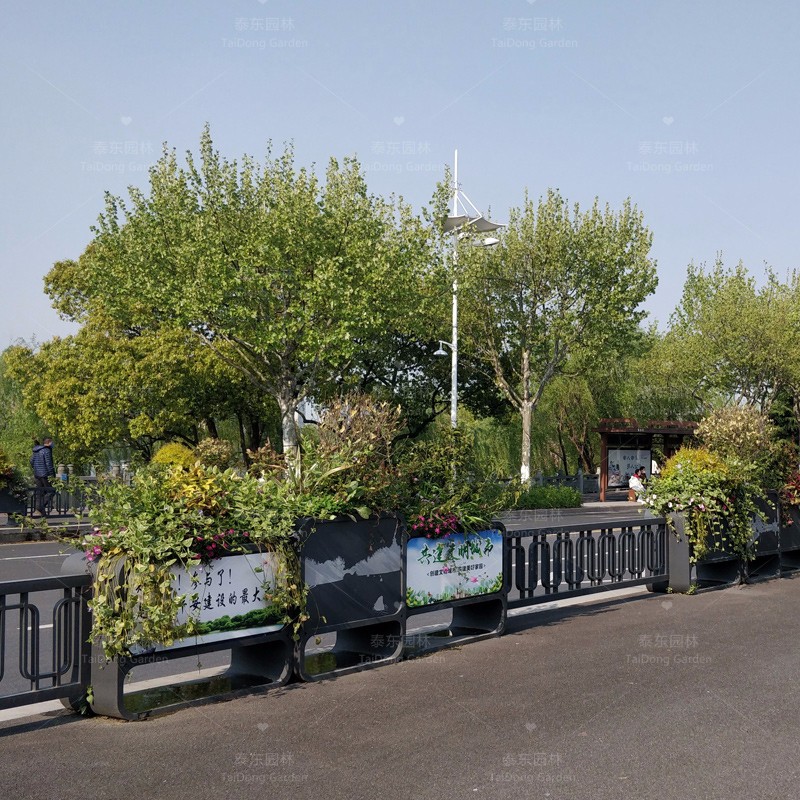 1689148025352061.jpg 花箱