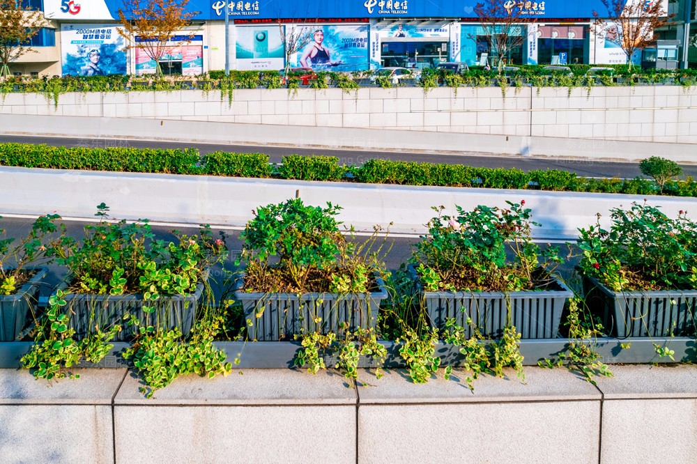 1701313186196155.jpg 花箱