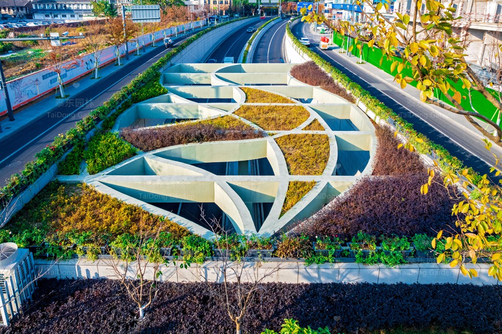 1701313186393174.jpg 花箱