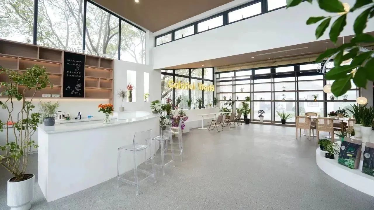 1704158224823439.jpg 花箱