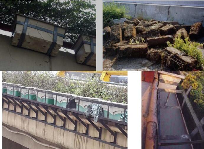 1708915133302120.png image (2).png