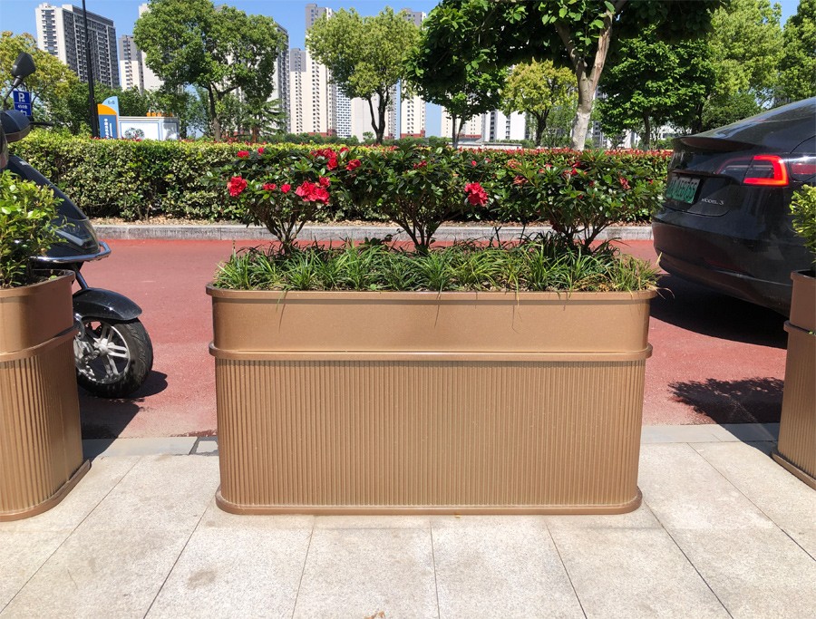 1715748916465344.jpg 1.jpg