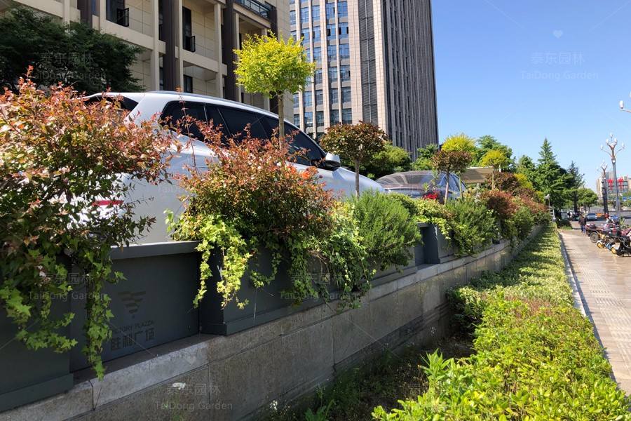 1715836352265123.jpg 花箱