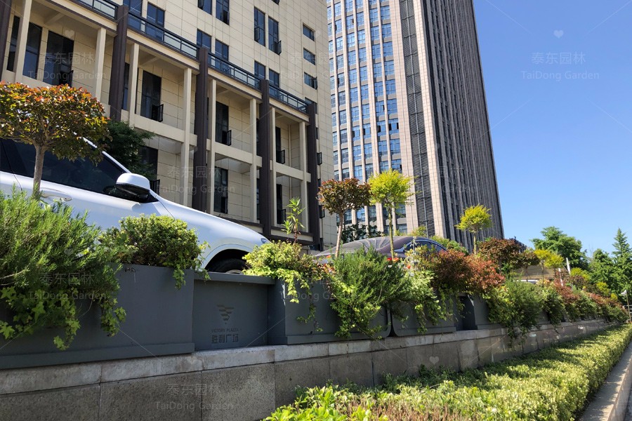 1715836352429357.jpg 花箱