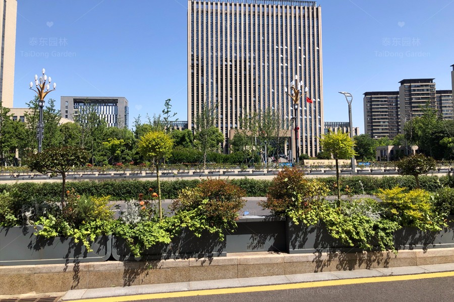 1715836352441422.jpg 花箱