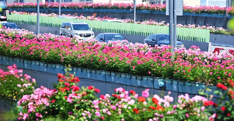 1716960182412289.jpg 花箱