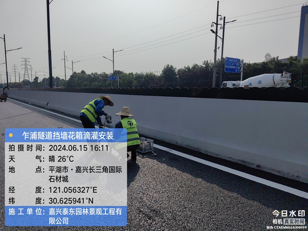 1719039007832156.jpg 4.jpg