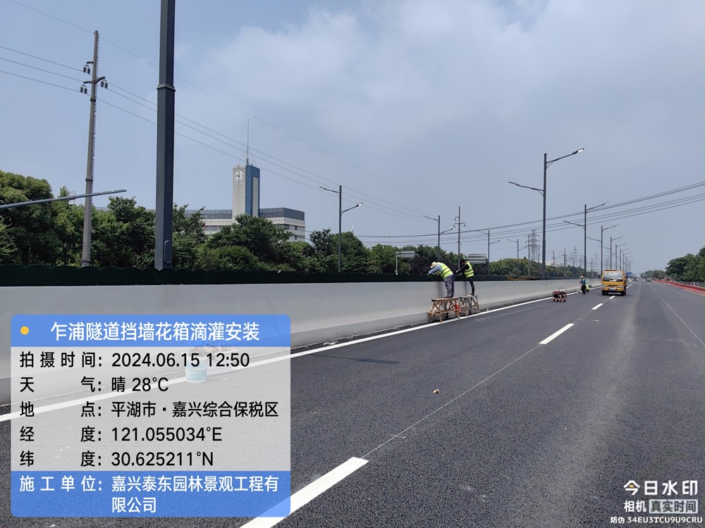 1719039116237397.jpg 花箱